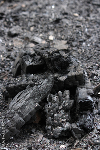 Wallpaper Mural 木炭 Torontodigital.ca