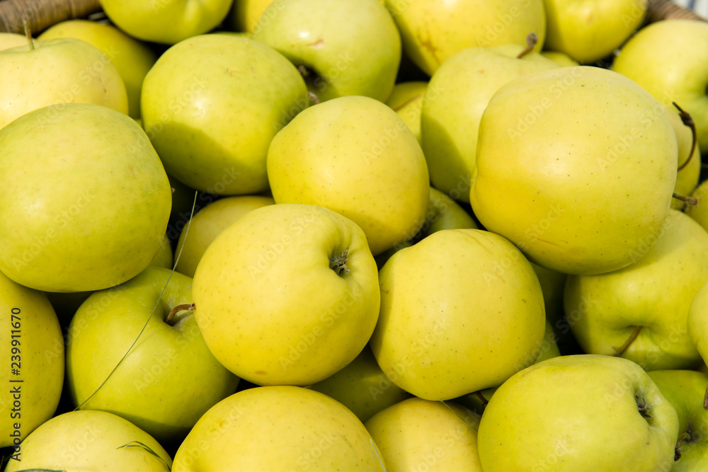 Basket of apples Basket of apples