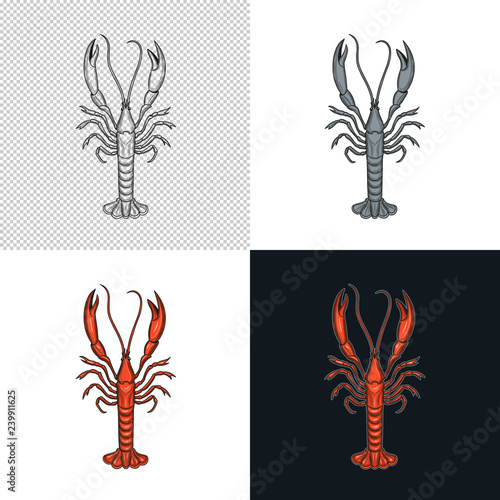 Langoustine. Crustaceans. Seafood. 