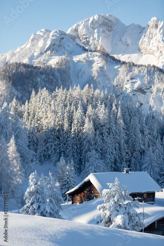 Picturesque winter scene with snowy forest and traditional alpine chalet. Sunny frosty weather with clear blue sky. Vertical shot