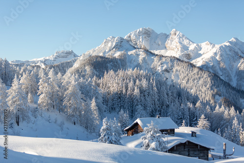 Picturesque winter scene with traditional alpine chalet and snowy forest. Sunny frosty weather with clear blue sky. Vertical shot