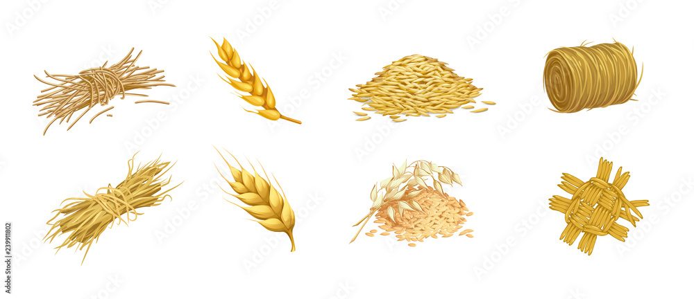 © Mosaic - vector set of isolated images of grain crops and ears of hay and straw weaving in a rustic style