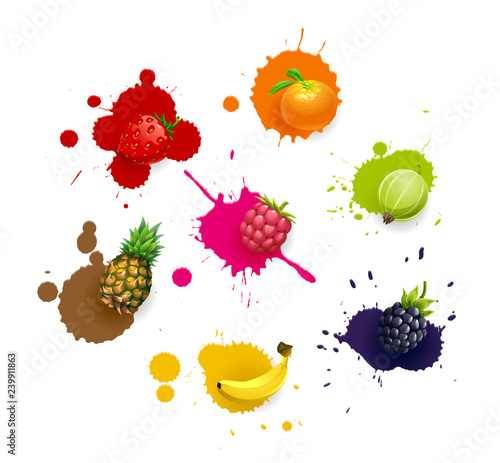 Vector set of colored fresh juicy fruits and blots