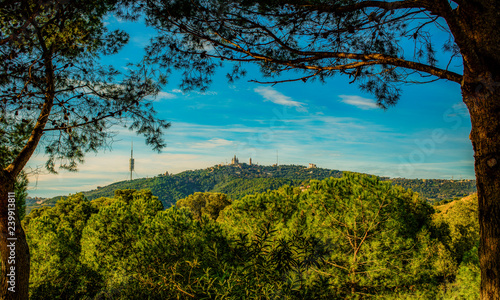 Fototapeta Naklejka Na Ścianę i Meble -  panorama of barcelona from park guell