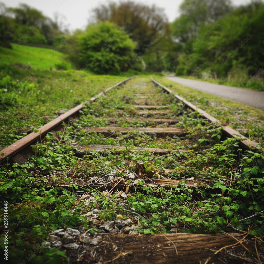 abandoned rails