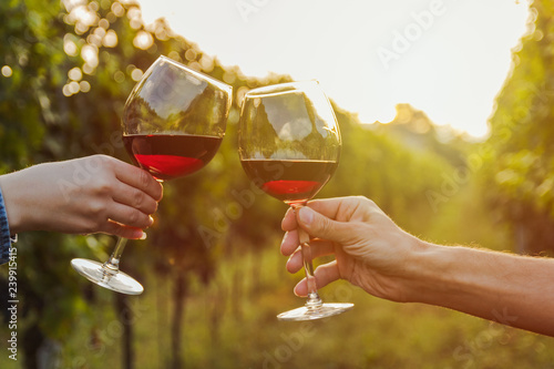 Two hands clinking red wine glass in a Vineyard during sunset.