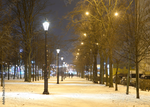 Park at winter night.