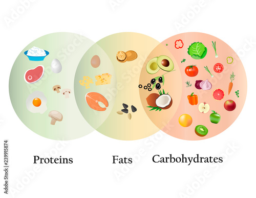 Healthy food vector illustration