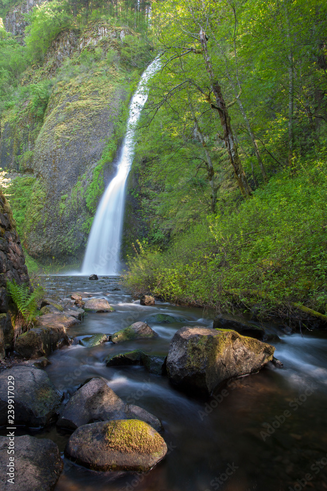 Fototapeta premium waterfall in the forest