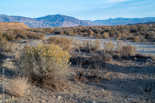 Eastern Sierra Nevada mountains and desert valley landscape