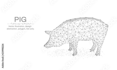Pig, New Year illustration made by points and lines, polygonal, Low poly holiday background, animal abstract design illustration