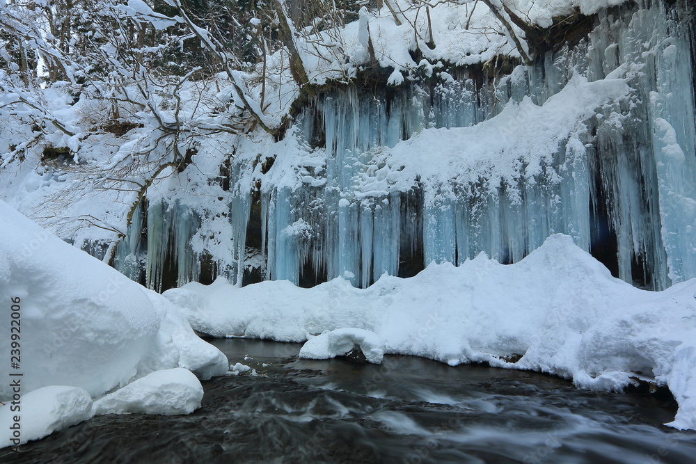 Fototapeta premium 冬の滝