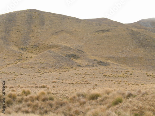 New Zealand.  South Island nature