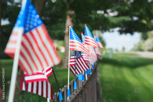 A row of small flags mounted on a metal fence showing one point perspective with green grass and trees in the picture. 