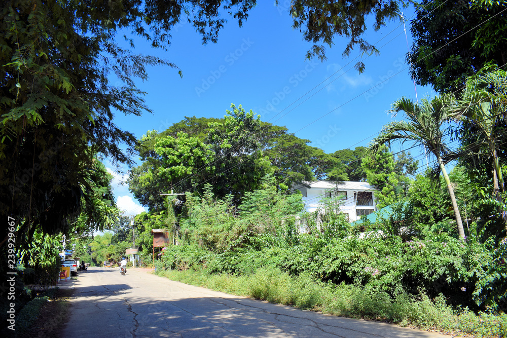 Fototapeta premium Country road through the jungle. Philippines. Palawan.