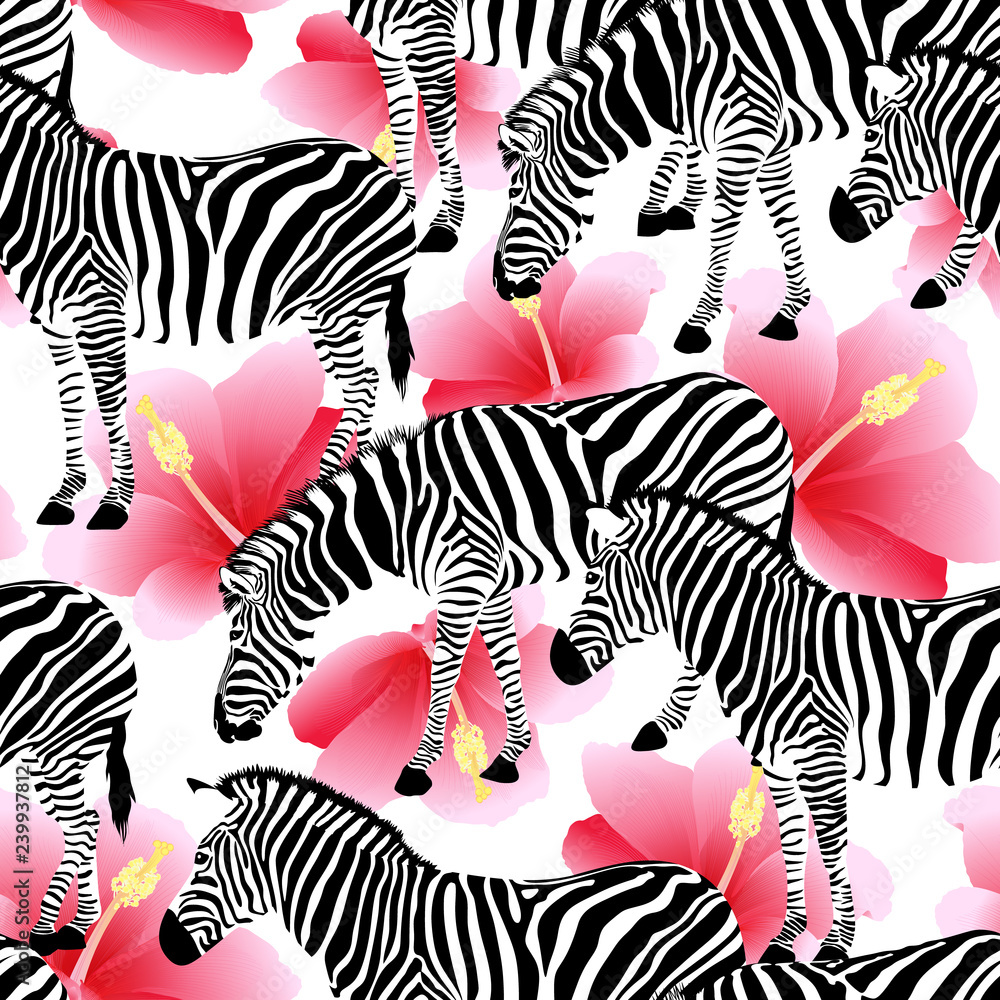 Pink Black And White Zebra Print Background