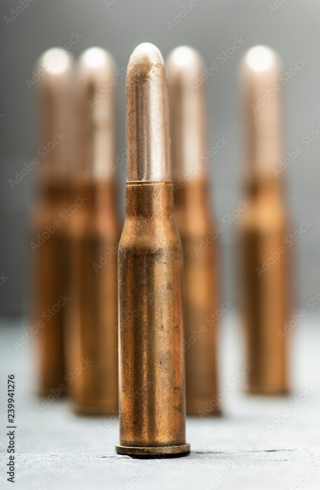 Group of straight weapon cartridges ammunitions. Group of straight weapon cartridges ammunitions.