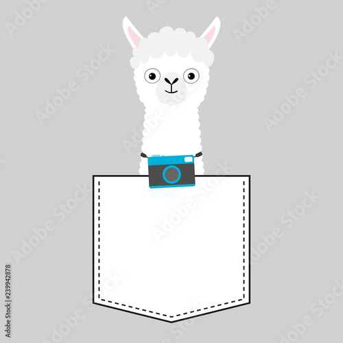 Llama alpaca face head in the pocket. Photo camera. Cute cartoon animals. Kawaii character. Dash line. White and black color. T-shirt design. Baby gray background. Isolated. Flat design.