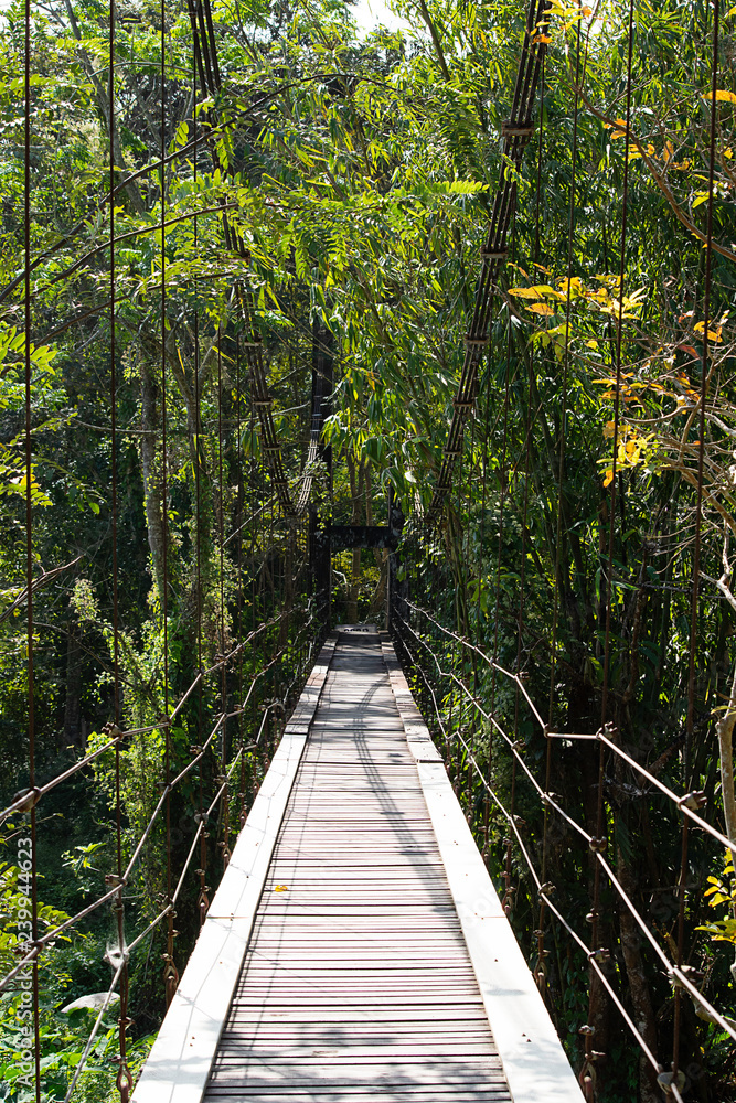 The wooden bridge across the waterfall on a sloping wire rope. The wooden bridge across the waterfall on a sloping wire rope.