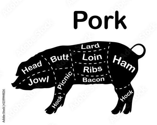Meat cuts - pork. Diagrams for butcher shop. Scheme of pork. Animal silhouette pork. Guide for cutting. Vector illustration.