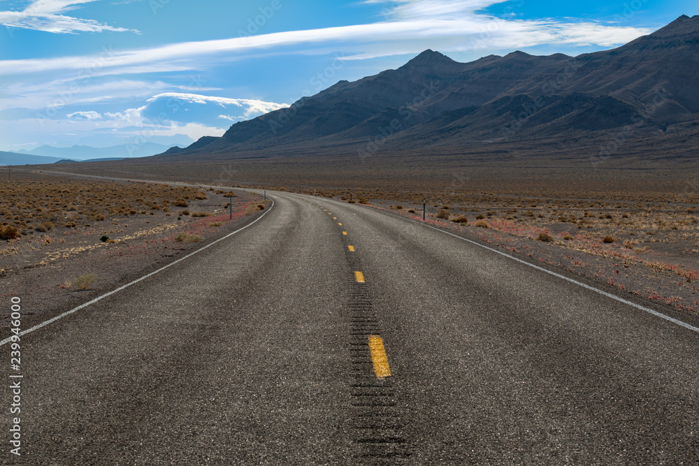 Road through the desert near Scotty's Junction, Nevada, USA