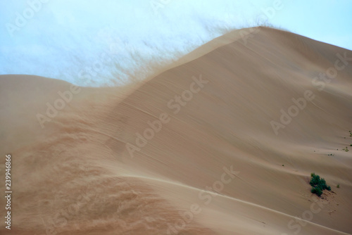 Sandstorm in desert. Sandstorm in the dunes.
