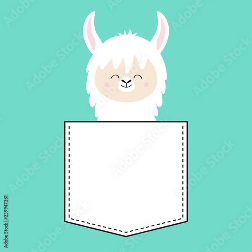 Alpaca llama face sitting in the pocket. T-shirt design. Cute cartoon funny character. Kawaii animal. Love Greeting card. Flat design style. Blue background. Isolated.