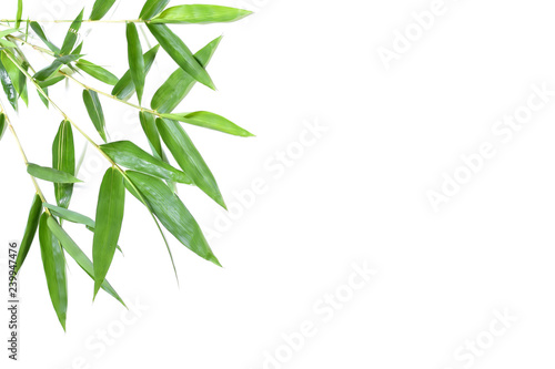  Bamboo leaves