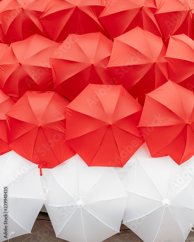 Umbrellas