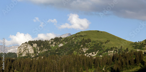 Alpine Pasture