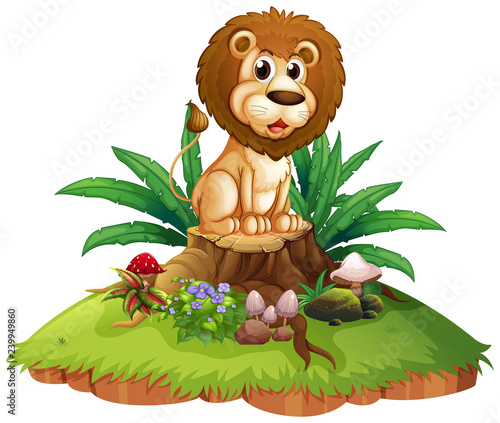 Lion on tree stump isolated