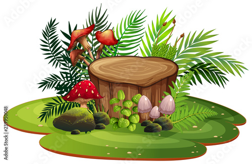 Isolated tree stump element