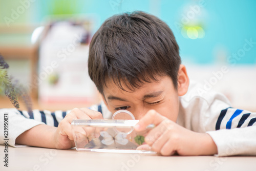 Fotografie Kid study biology insect in the science class