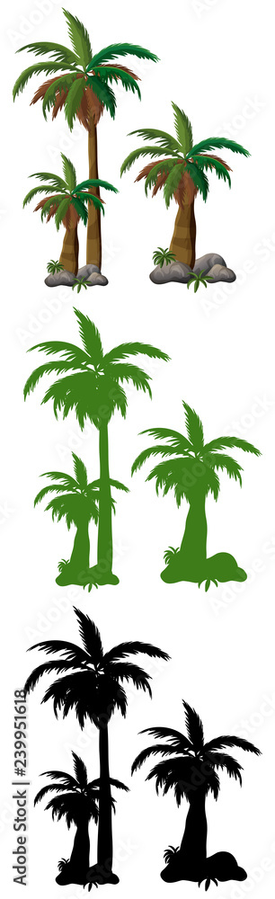 Set of palm tree