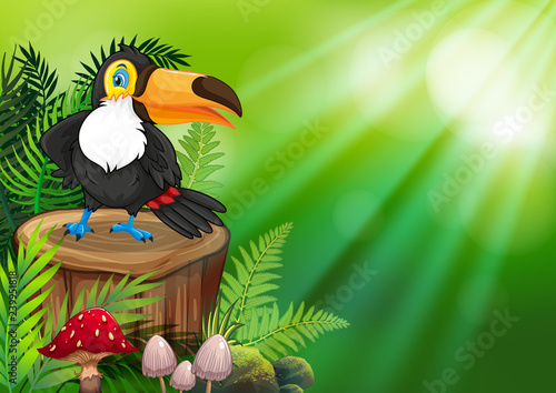 Toucan on nature green background