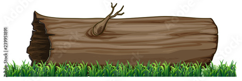 Isolated tree log on white background