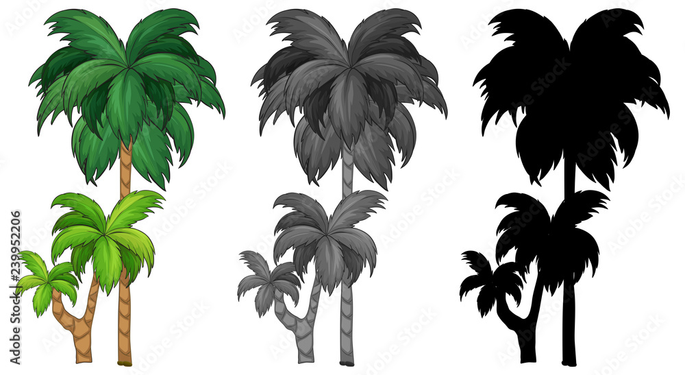 Naklejka premium Set of palm tree