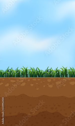 Nature above and underground