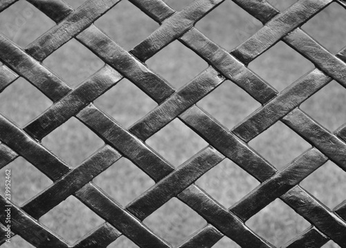 Black and white trellis
