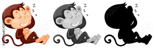 Canvas Print Set of monkey sleeping character