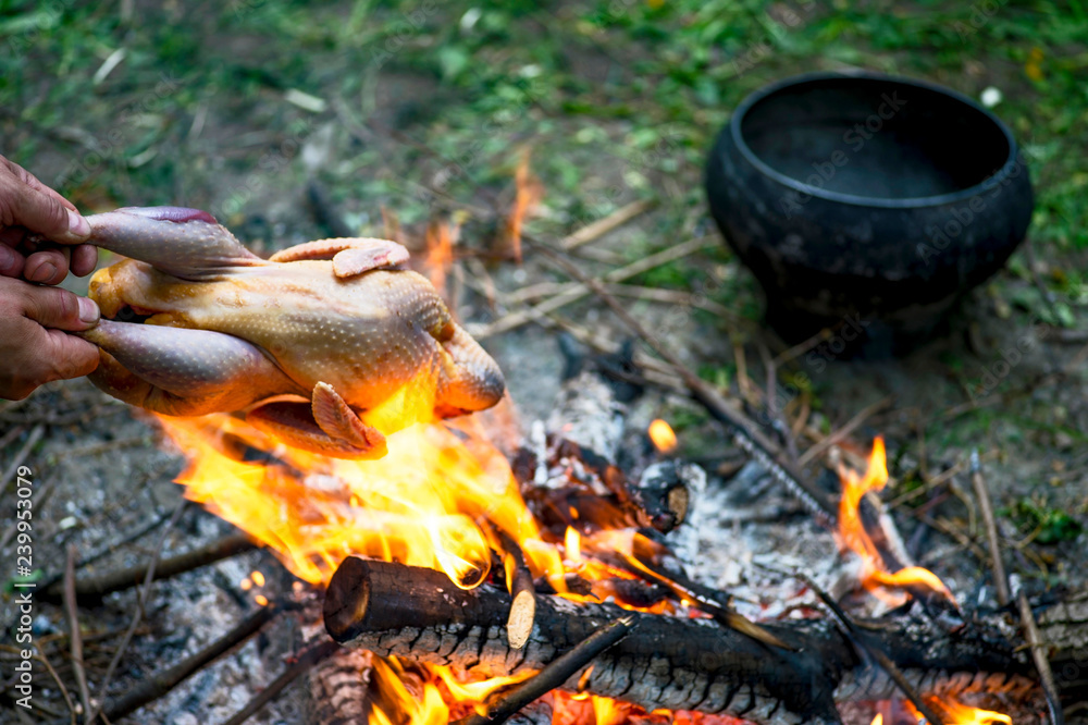 The tourist roasts the whole chicken on an open fire for further cooking in a cast-iron retro pan with other ingredients. The concept of a camp kitchen The tourist roasts the whole chicken on an open fire for further cooking in a cast-iron retro pan with other ingredients. The concept of a camp kitchen