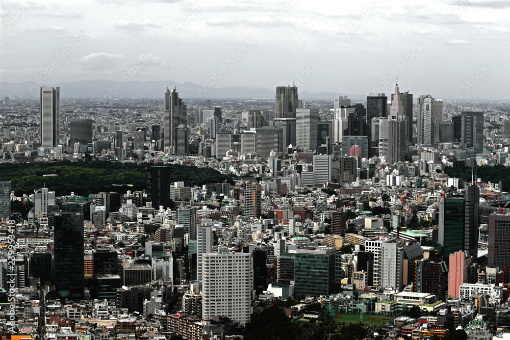 Fototapeta premium Urban landscape of Tokyo Shinjuku