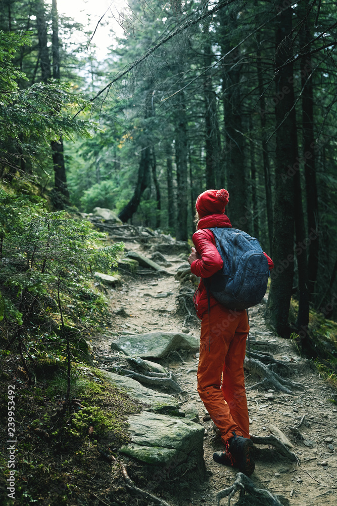 woman hiker with backpack, wearing in red jacket and orange pants, walking in the forest in mountains