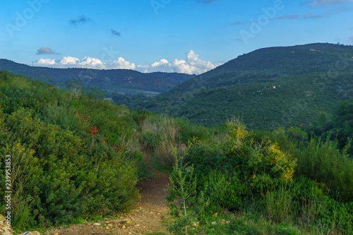 Landscape of Mount Carmel
