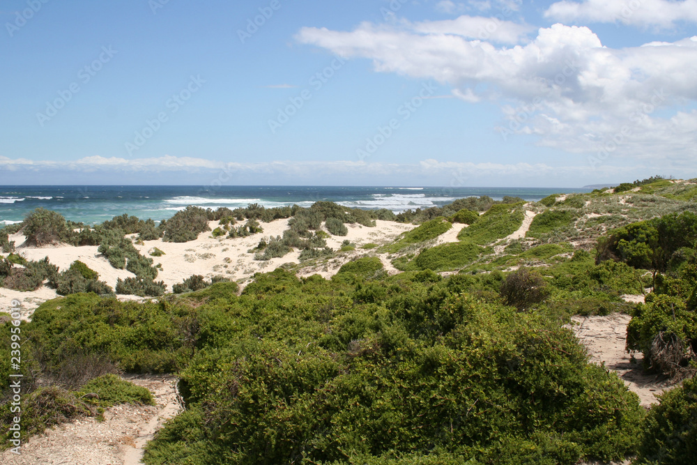 Seals Bay, Kangaroo Island, South Australia
