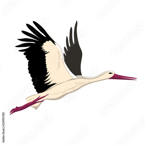 White stork flying (up wings). A beautiful white stork sketch style, side view, vector illustration isolated © Decent