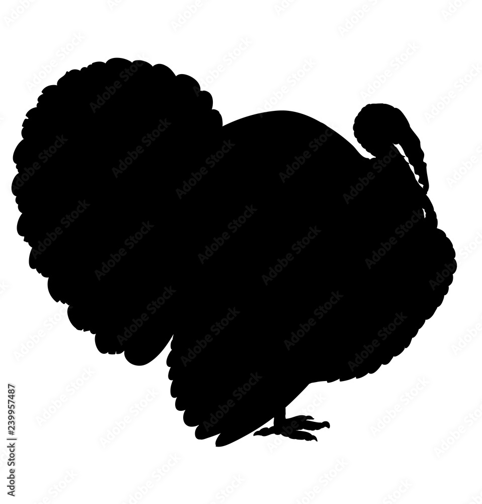 Turkey silhouette isolated on the white background Turkey silhouette isolated on the white background