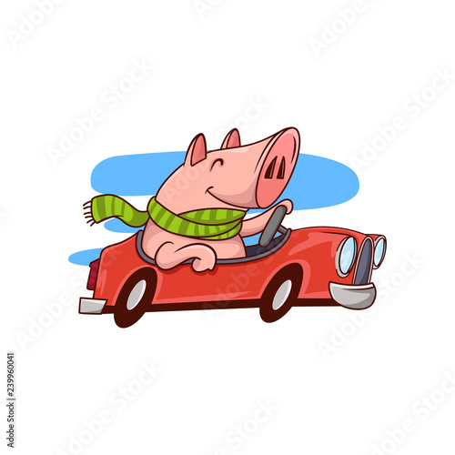 Smiling pig riding red car. Cute humanized animal. Funny cartoon character. Vector design