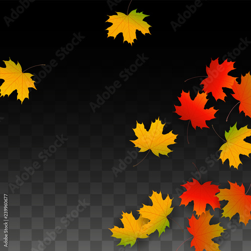 September Vector Background with Golden Falling Leaves. Autumn Illustration with Maple Red, Orange, Yellow Foliage. Isolated Leaf on Transparent Background. Bright Swirl. Suitable for Posters.