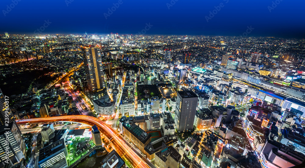 Fototapeta premium city skyline night view in bunkyo, Tokyo, Japan
